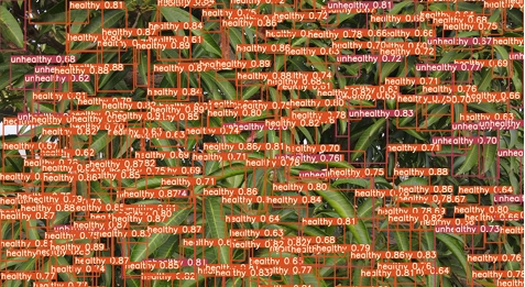 Mango Farming Optimization With AI